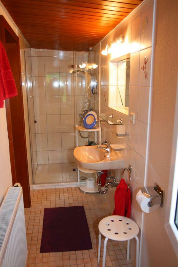 Apartment Baden Baden Haus Am Ibachweg Экстерьер фото