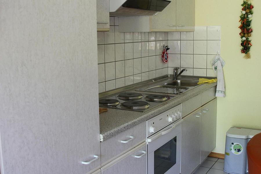Apartment Baden Baden Haus Am Ibachweg Экстерьер фото