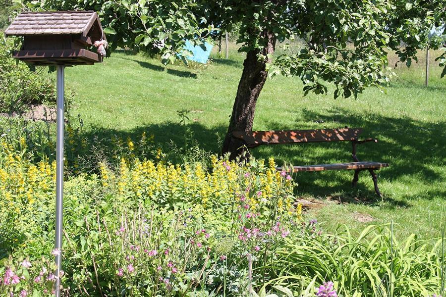 Apartment Baden Baden Haus Am Ibachweg Экстерьер фото